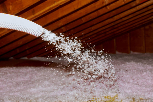 Best Cellulose Insulation in Aurora, CO