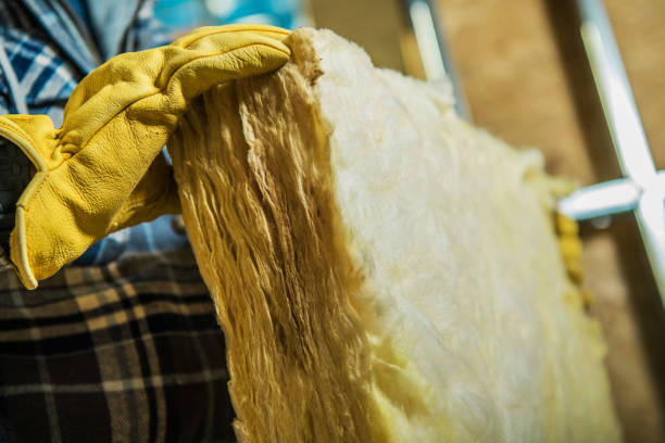 Best Specialized Insulation Services in Aurora, CO